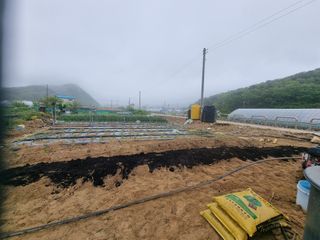 양파16718님의 자유주제 · 자유게시판 작성글 사진