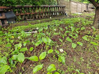 h.정님의 자유주제 · 자유게시판 작성글 사진