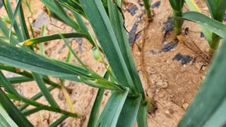 이선구님의 자유주제 · 건의해요 작성글 사진