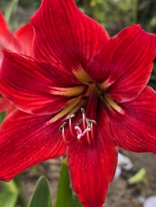 배영이님의 작성글 사진