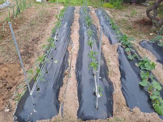 허선경님의 자유주제 · 자유게시판 작성글 사진