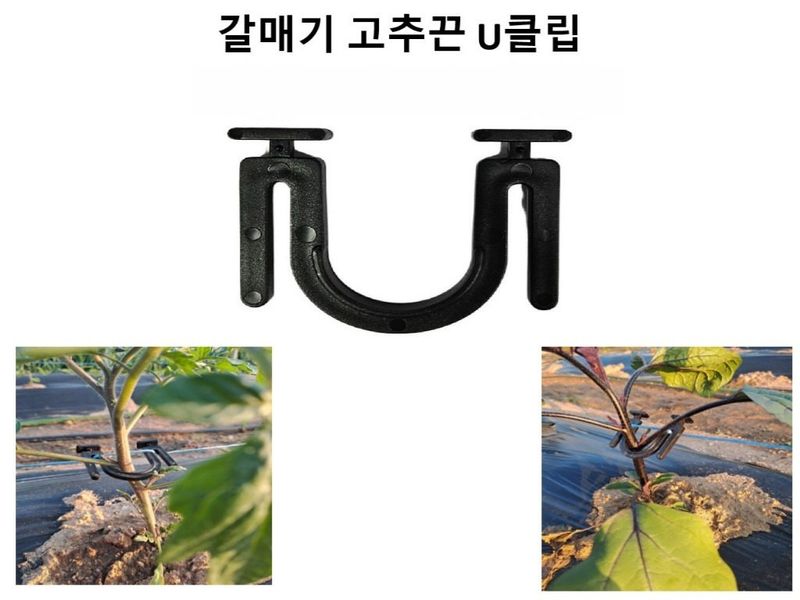 장터 상품 [갈매기 고추 U클립 / 1봉-50개입] 썸네일