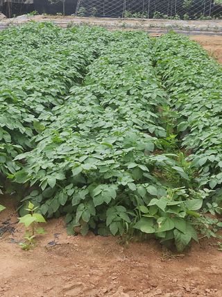 선우농장님의 자유주제 · 사진전 작성글 사진