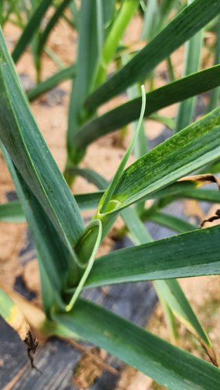 이선구님의 자유주제 · 건의해요 작성글 사진