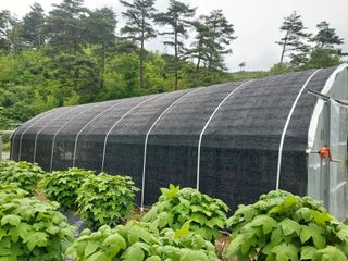 관음손가네님의 자유주제 · 자유게시판 작성글 사진