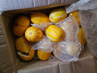 다범님의 자유주제 · 자유게시판 작성글 사진