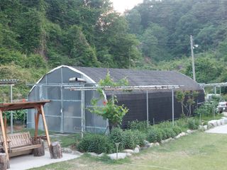 관음손가네님의 자유주제 · 자유게시판 작성글 사진