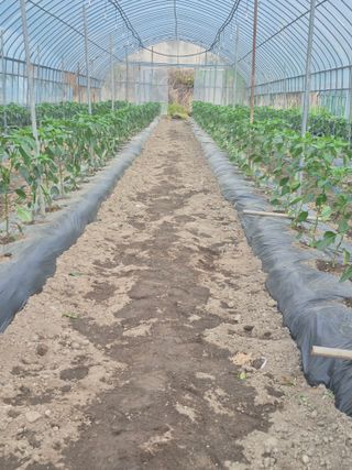 신태상님의 자유주제 · 사진전 작성글 사진