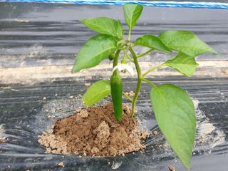 겨울연가님의 자유주제 · 자유게시판 작성글 사진