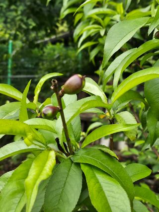h.정님의 자유주제 · 자유게시판 작성글 사진
