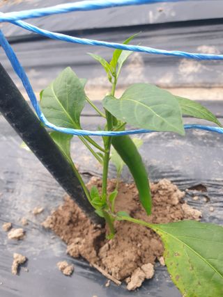 겨울연가님의 자유주제 · 자유게시판 작성글 사진