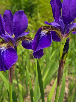 배영이님의 작성글 사진