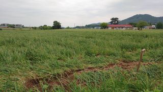 조새힘님의 작성글 사진