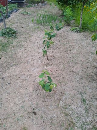 허선경님의 자유주제 · 자유게시판 작성글 사진