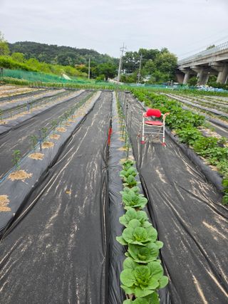 감자님의 자유주제 · 자유게시판 작성글 사진