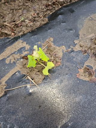 정재남님의 자유주제 · 건의해요 작성글 사진