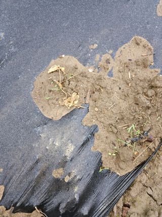 정재남님의 자유주제 · 건의해요 작성글 사진