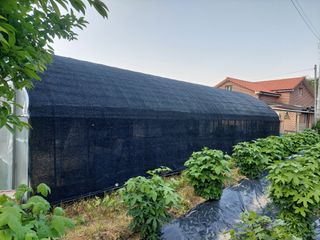 관음손가네님의 자유주제 · 자유게시판 작성글 사진