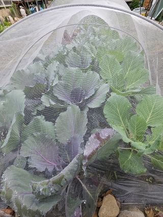 h.정님의 자유주제 · 자유게시판 작성글 사진