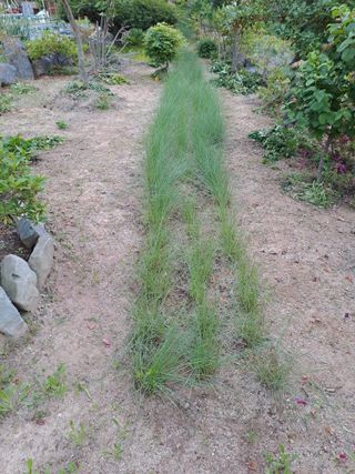 허선경님의 자유주제 · 자유게시판 작성글 사진