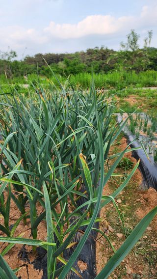 이선구님의 자유주제 · 건의해요 작성글 사진