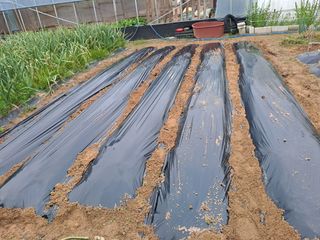 허선경님의 자유주제 · 자유게시판 작성글 사진