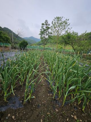h.정님의 자유주제 · 자유게시판 작성글 사진