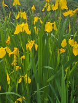 팜모닝 · 게시글 이미지