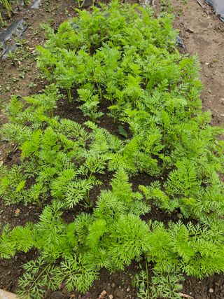 h.정님의 자유주제 · 자유게시판 작성글 사진