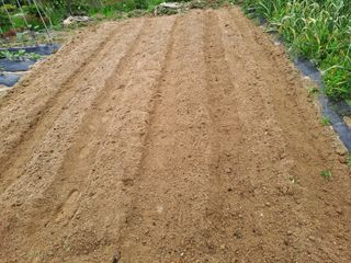 허선경님의 자유주제 · 자유게시판 작성글 사진