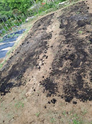 허선경님의 자유주제 · 자유게시판 작성글 사진