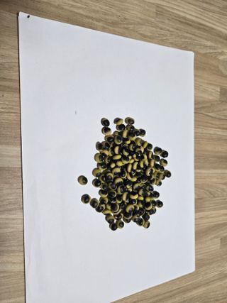 민석규님의 농사, 무엇이든 물어보세요! · 참여글 작성글 사진