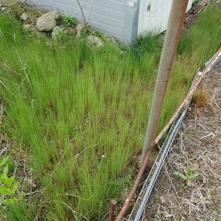 오이19876님의 자유주제 · 자유게시판 작성글 사진