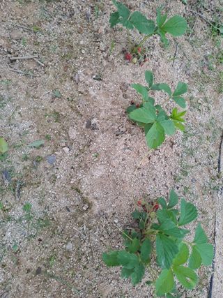 허선경님의 자유주제 · 자유게시판 작성글 사진