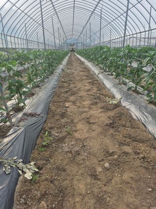 신태상님의 자유주제 · 사진전 작성글 사진