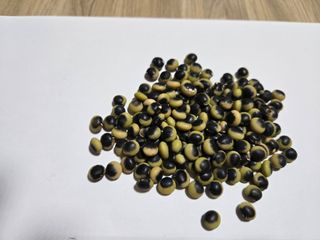 민석규님의 농사, 무엇이든 물어보세요! · 참여글 작성글 사진