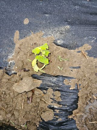 정재남님의 자유주제 · 건의해요 작성글 사진