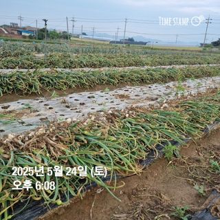 민들레님의 자유주제 · 자유게시판 작성글 사진