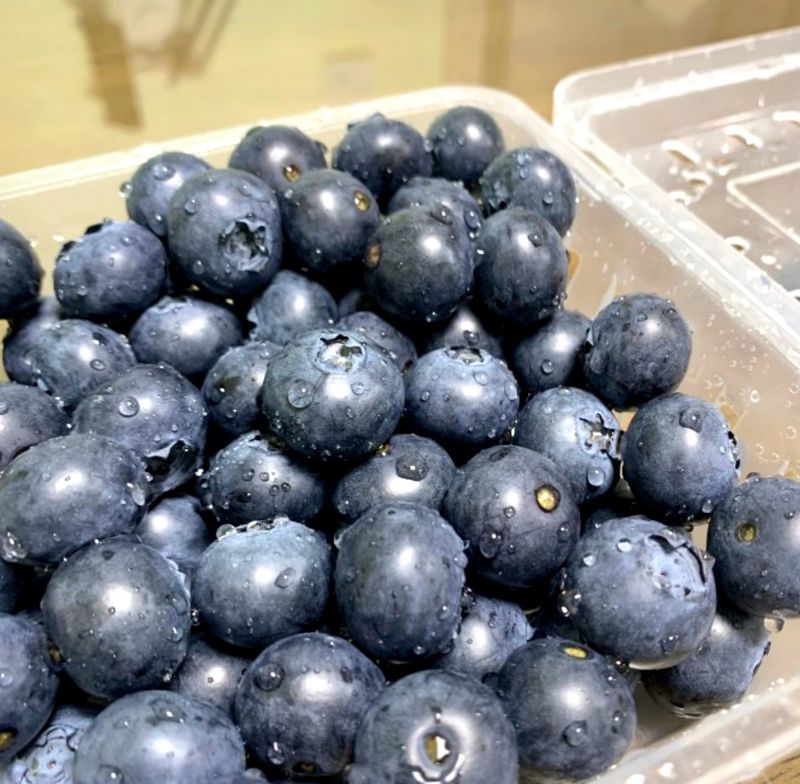 농부손녀님의 장터 판매 상품 [(슈퍼푸드) 블루베리 생과 500g 1kg ] 첨부 사진