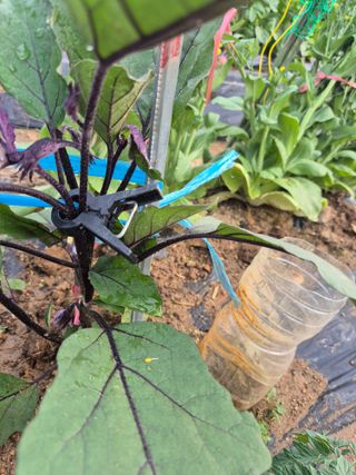 우리농장주님의 농사, 무엇이든 물어보세요! · 참여글 작성글 사진