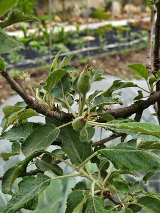h.정님의 자유주제 · 자유게시판 작성글 사진