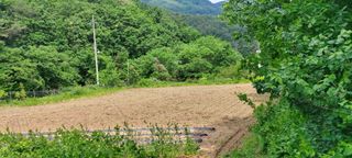 권영식님의 자유주제 · 자유게시판 작성글 사진