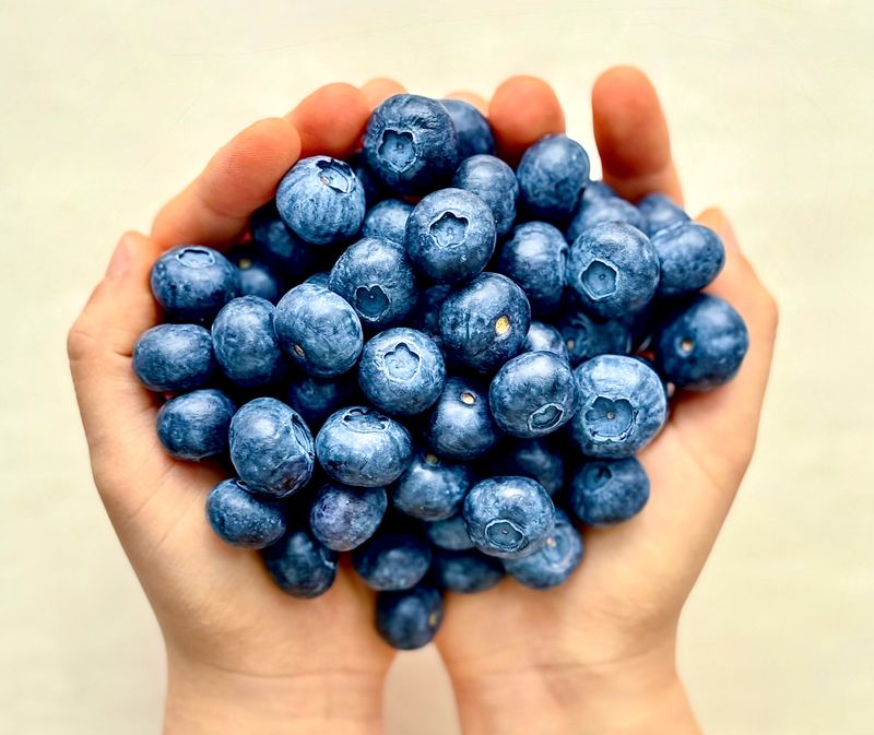 농부손녀님의 장터 판매 상품 [(슈퍼푸드) 블루베리 생과 500g 1kg ] 첨부 사진