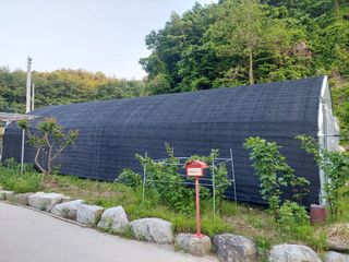 관음손가네님의 자유주제 · 자유게시판 작성글 사진