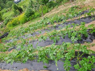 허선경님의 자유주제 · 자유게시판 작성글 사진