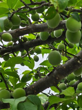 h.정님의 자유주제 · 자유게시판 작성글 사진