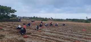 문경필님의 자유주제 · 자유게시판 작성글 사진