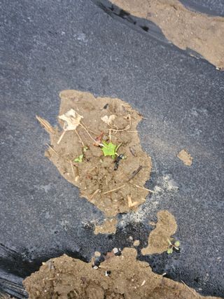 정재남님의 자유주제 · 건의해요 작성글 사진