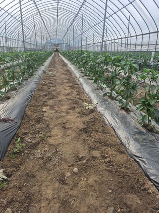 신태상님의 자유주제 · 사진전 작성글 사진