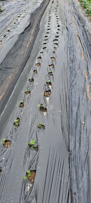 장준재님의 자유주제 · 자유게시판 작성글 사진